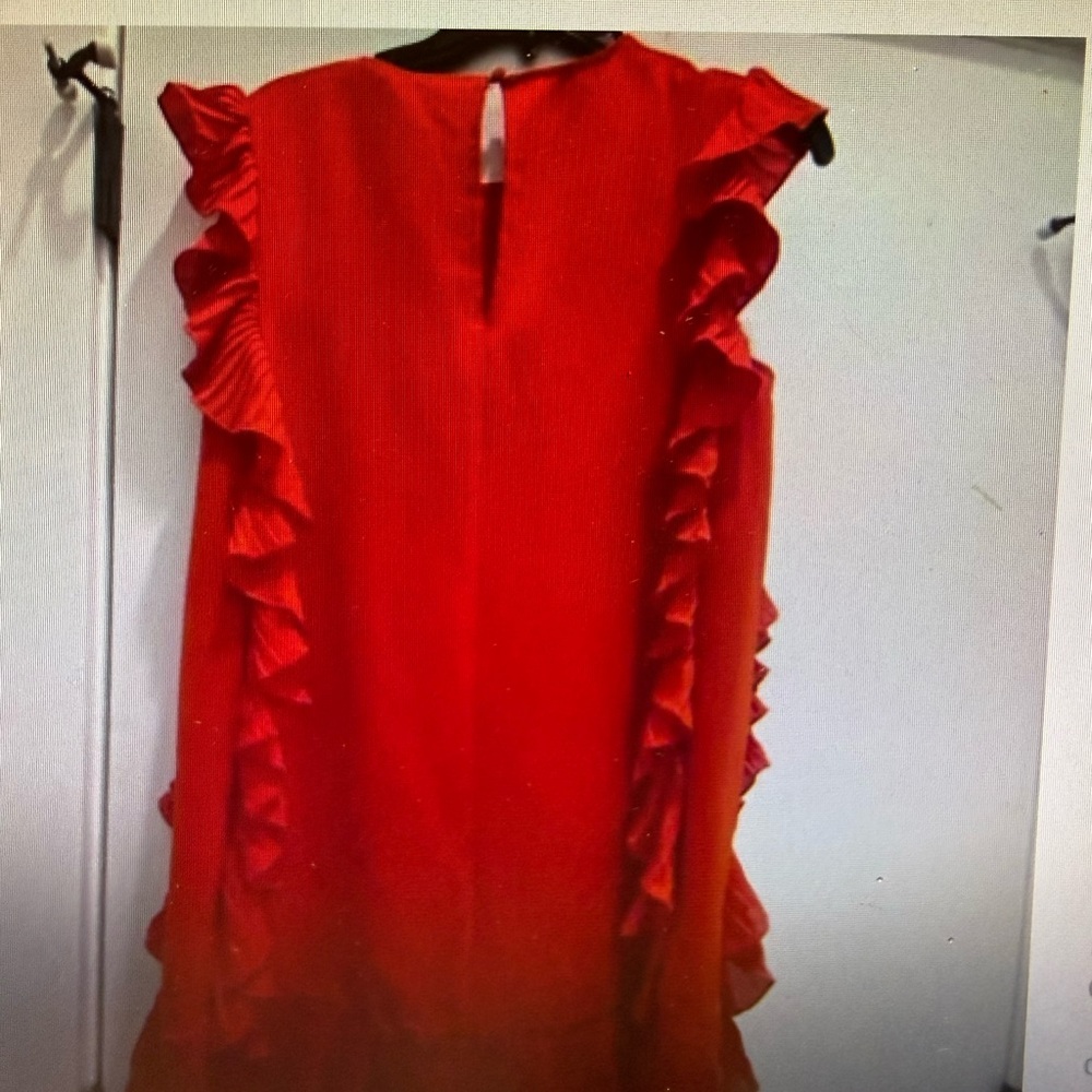 TCEC Red Ruffle Mini Dress - Picture 2 of 2